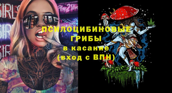 Альфа ПВП Беломорск