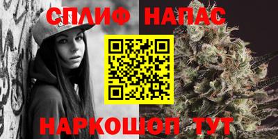 прущие грибы Берёзовский