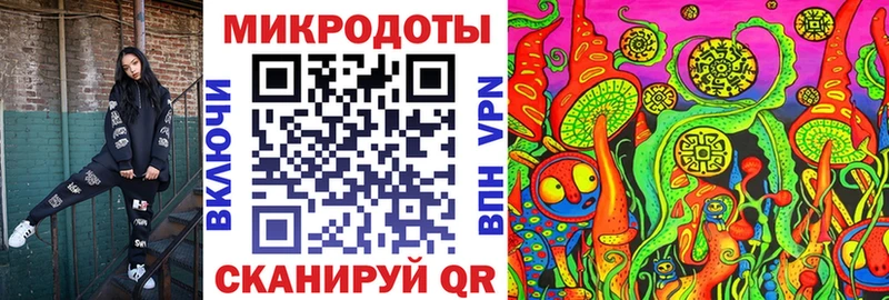 Псилоцибиновые грибы Psilocybe  Верхняя Пышма 