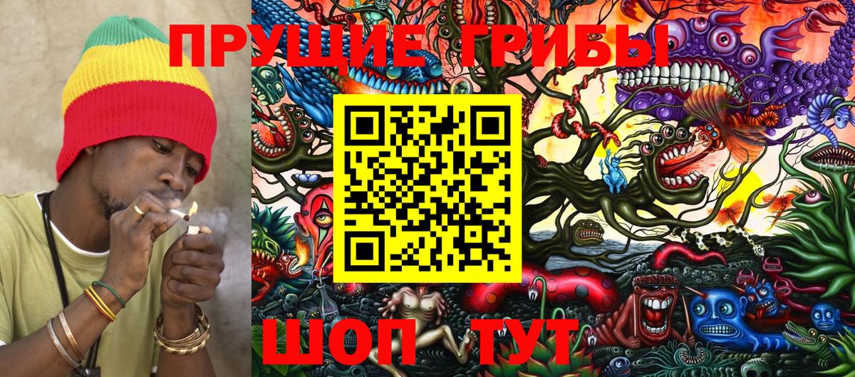 Галлюциногенные грибы Psilocybe Верхняя Пышма