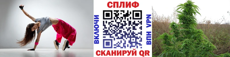 где найти   Верхняя Пышма  нарко площадка наркотические препараты  Бошки марихуана планчик 